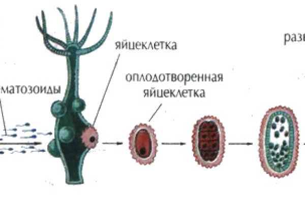 Ссылка в даркнет