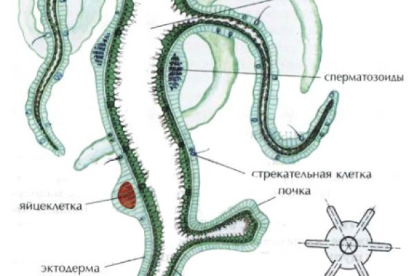 Ссылки на даркнет сайты